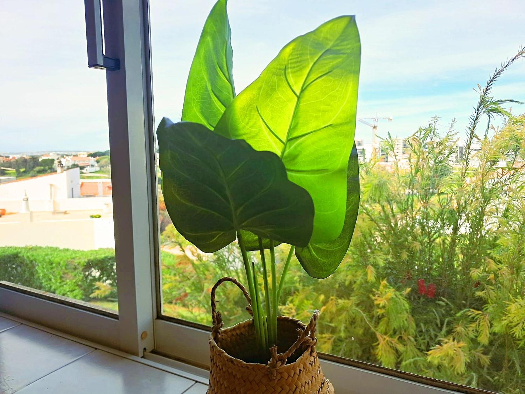 Apartamento Oasis Parque 1 波尔蒂芒 外观 照片